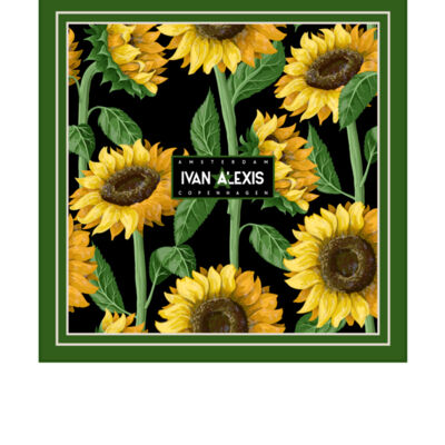 2015 AMS 3024 Thumbnail