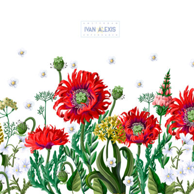 2062 AMS 3024 MOCKUP Thumbnail