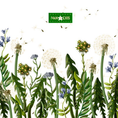 2065 AMS 3024 MOCKUP Thumbnail