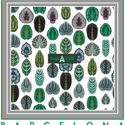 3010 BCN 3024 DTF Thumbnail