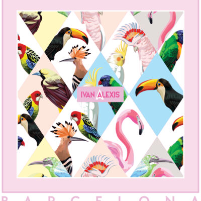 3012 BCN 3024 DTF Thumbnail