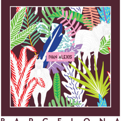 3016 BCN 3024 DTF Thumbnail