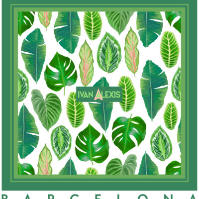 3048 BCN 3024 DTF Thumbnail