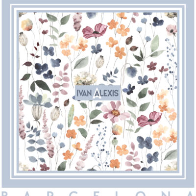 3067 BCN 3024 DTF Thumbnail