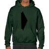 Heavy Blend  Adult Hooded Sweatshirt - BT 18500 Thumbnail