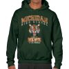 Heavy Blend  Adult Hooded Sweatshirt - BT 18500 Thumbnail