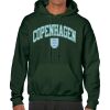 Heavy Blend  Adult Hooded Sweatshirt - BT 18500 Thumbnail