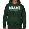 Heavy Blend  Adult Hooded Sweatshirt - BT 18500 Thumbnail