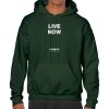 Heavy Blend  Adult Hooded Sweatshirt - BT 18500 Thumbnail