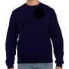 Crewneck Sweatshirt Thumbnail