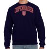 Crewneck Sweatshirt Thumbnail